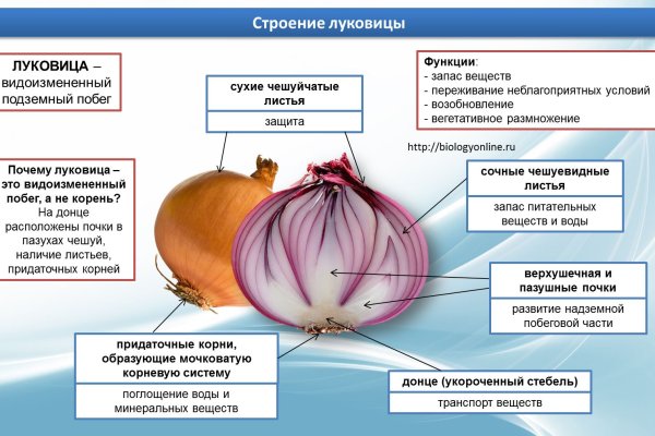 Через какой браузер зайти на кракен