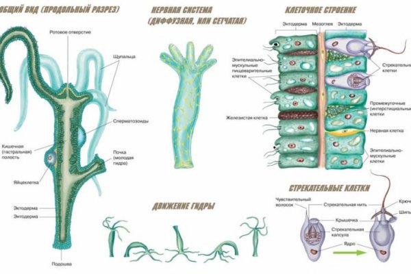 Kraken ссылка на сайт тор