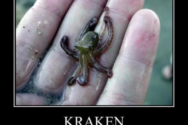 Kraken 5 at