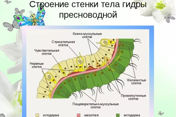 Найдется все kraken 2krn cc что это