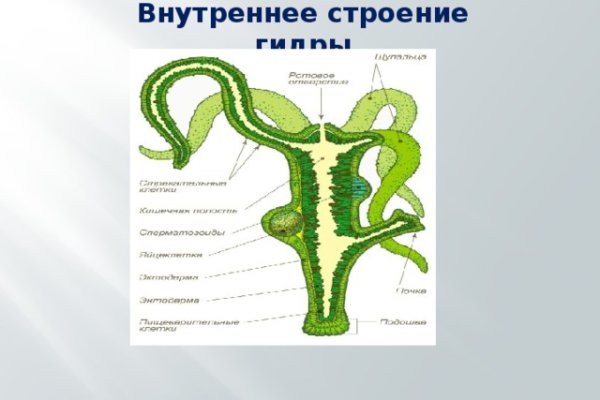 Что продает маркетплейс кракен