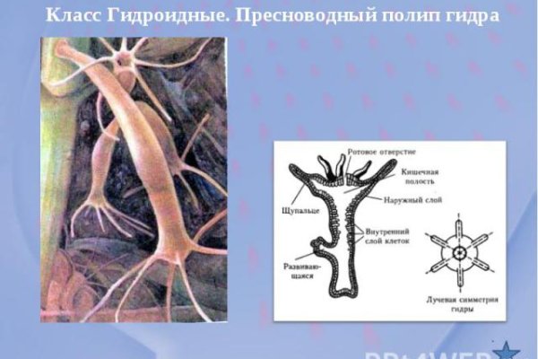 Как зайти на кракен через айфон